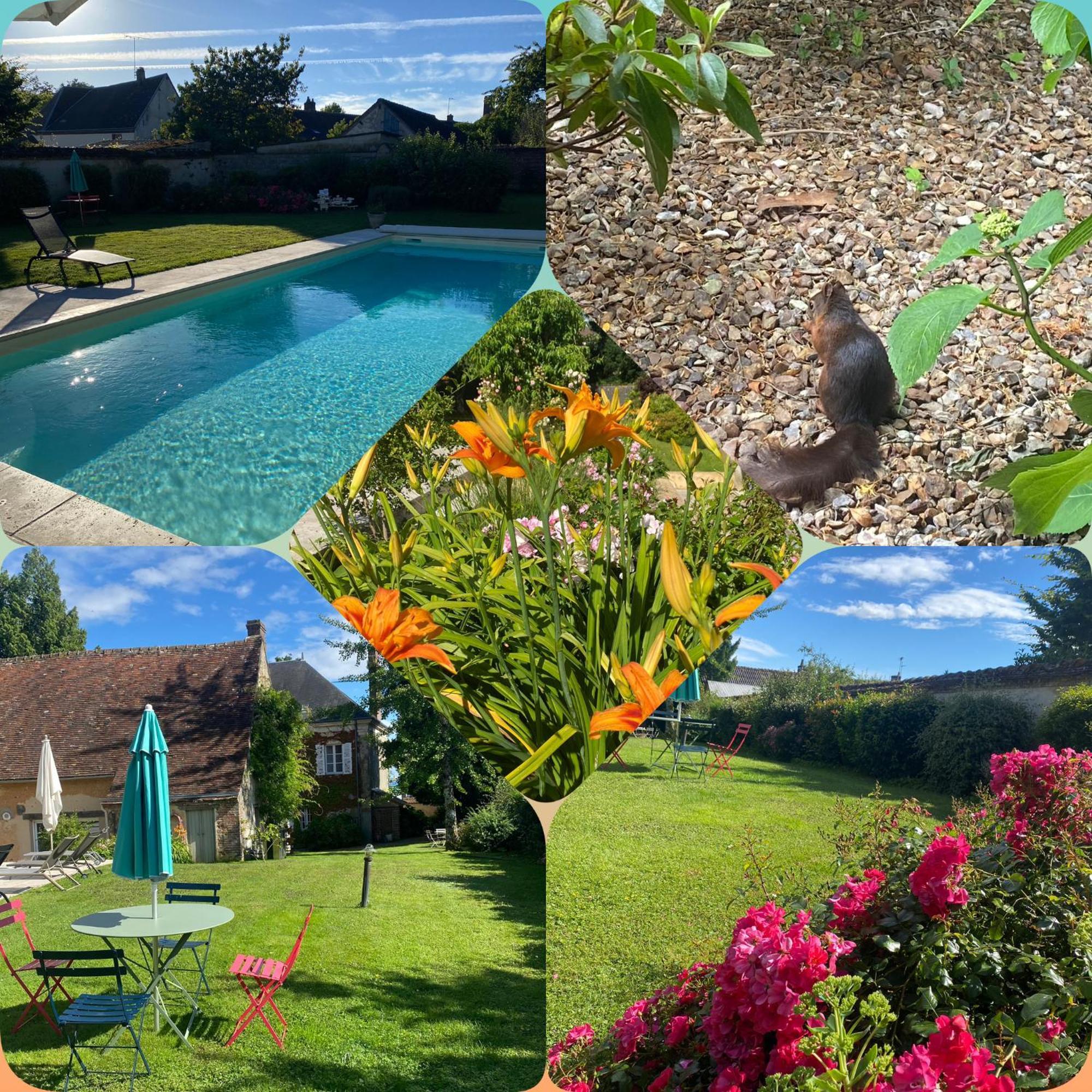 Les Couleurs Du Verger Beaumont-les-Autels Esterno foto