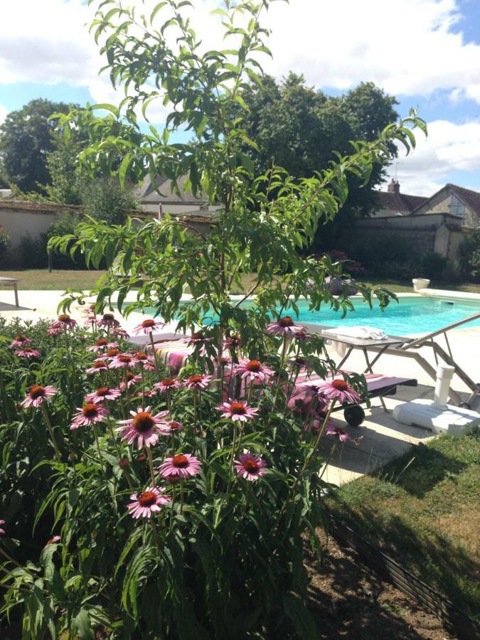 Les Couleurs Du Verger Beaumont-les-Autels Esterno foto