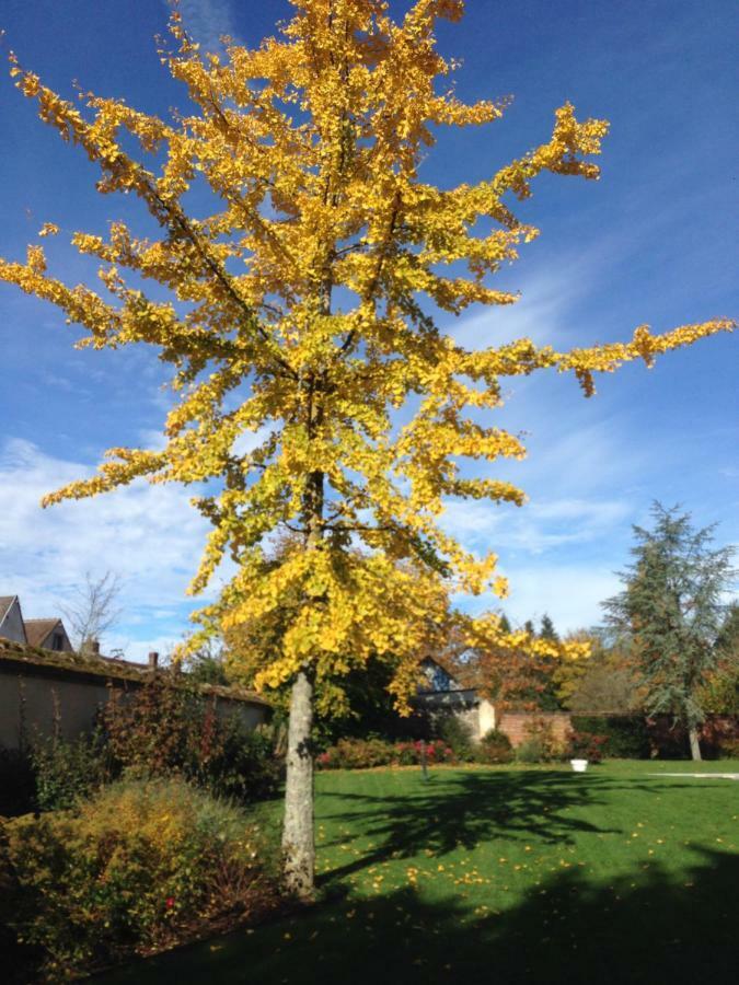 Les Couleurs Du Verger Beaumont-les-Autels Esterno foto